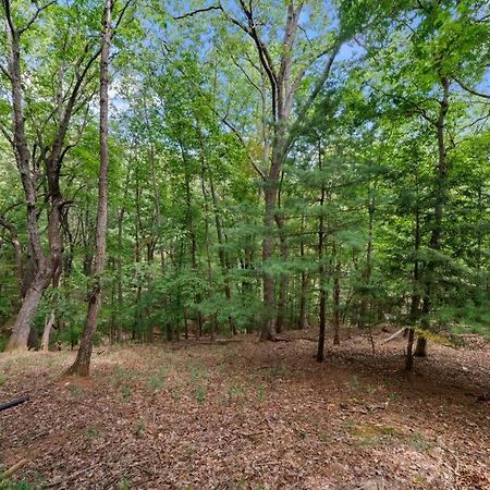 Вилла Cozy Bear Getaway Marble Hill Экстерьер фото