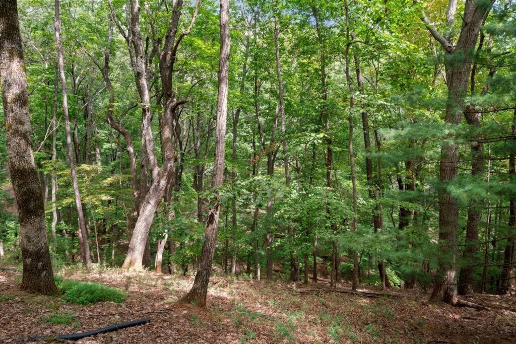 Вилла Cozy Bear Getaway Marble Hill Экстерьер фото